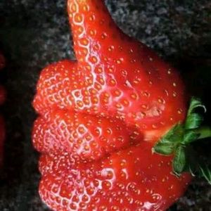 Meet your Posher, Steve